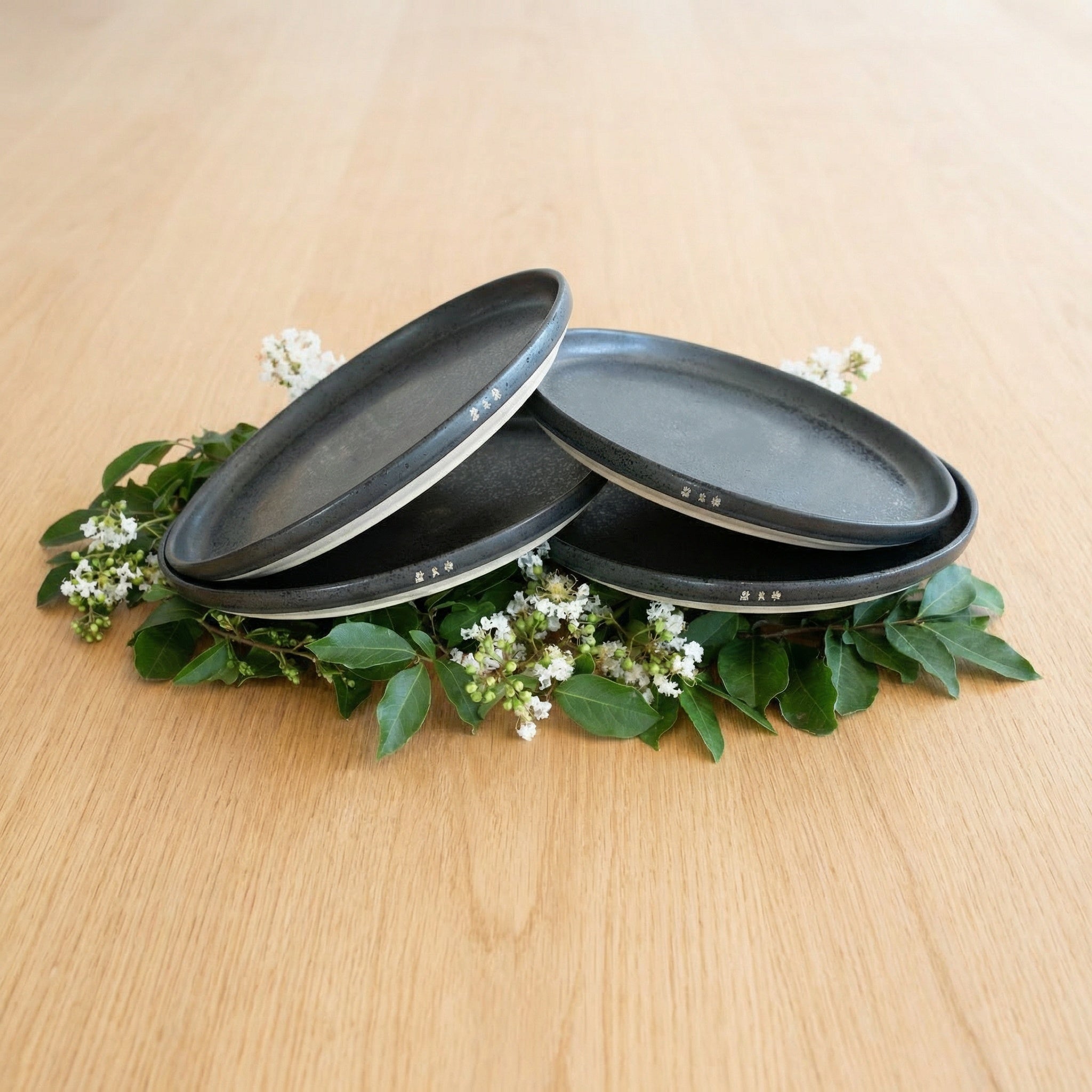 Set of 4 Large Ceramic Dining Plates