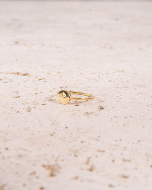 Minimalist 18k Gold Vermeil Rune Ring