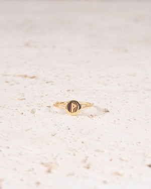 Minimalist 18k Gold Vermeil Rune Ring