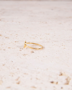 Minimalist 18k Gold Vermeil Rune Ring