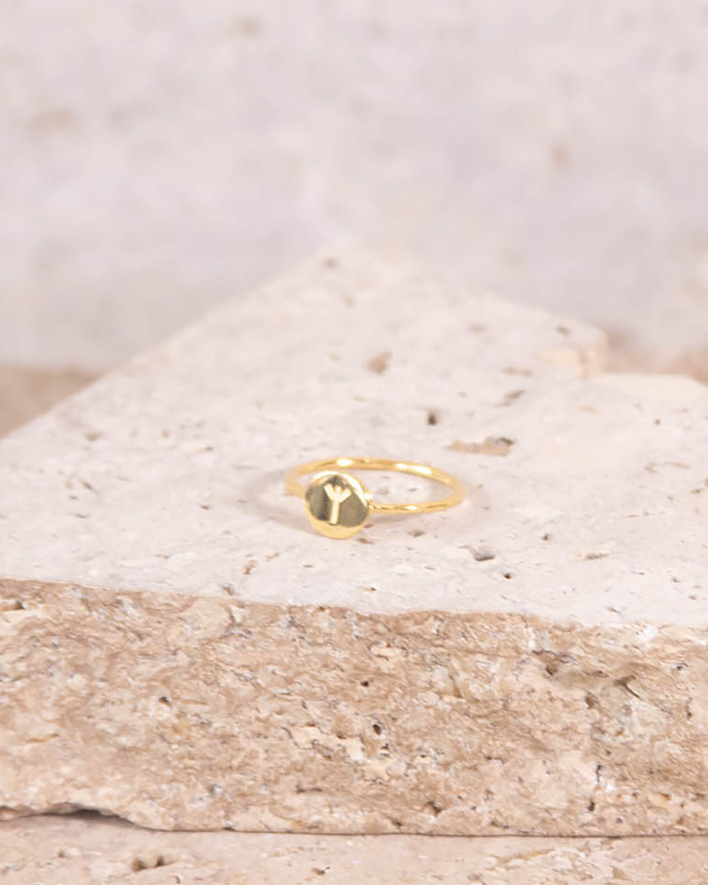 MINIMALIST 18K GOD PLATED RUNE RING