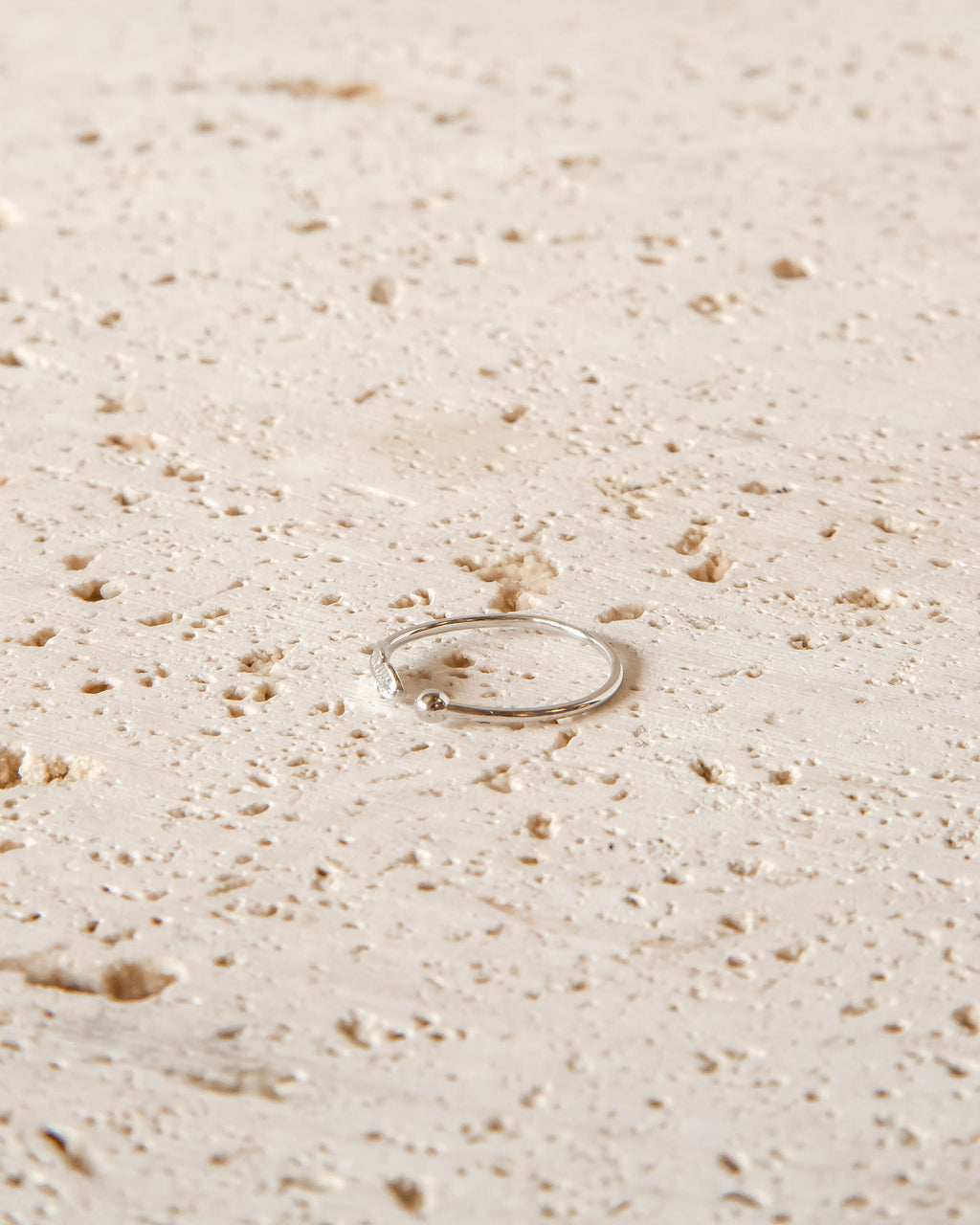 MINIMALIST RAVEN'S FEATHER RING