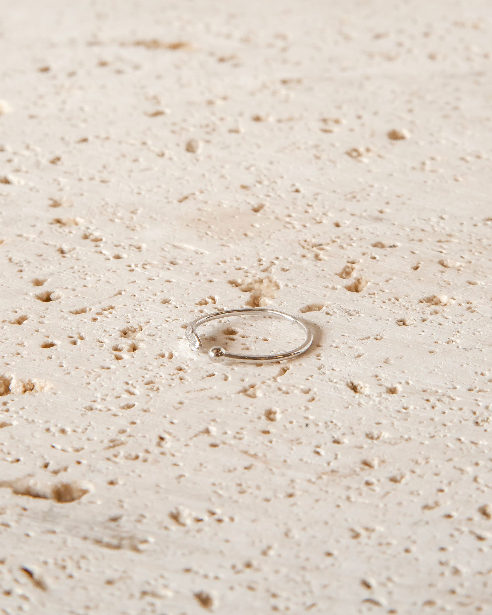 MINIMALIST RAVEN'S FEATHER RING