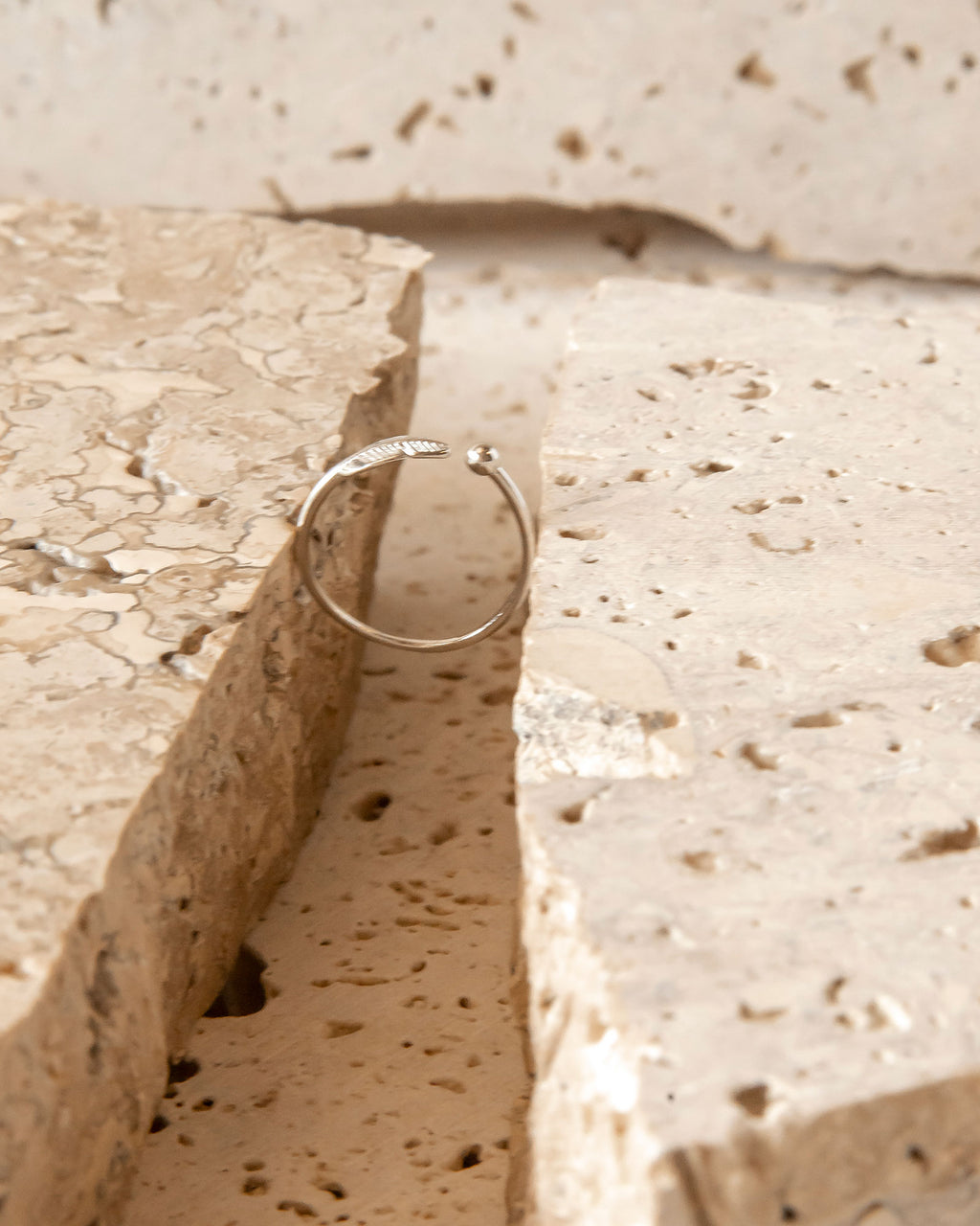 MINIMALIST RAVEN'S FEATHER RING