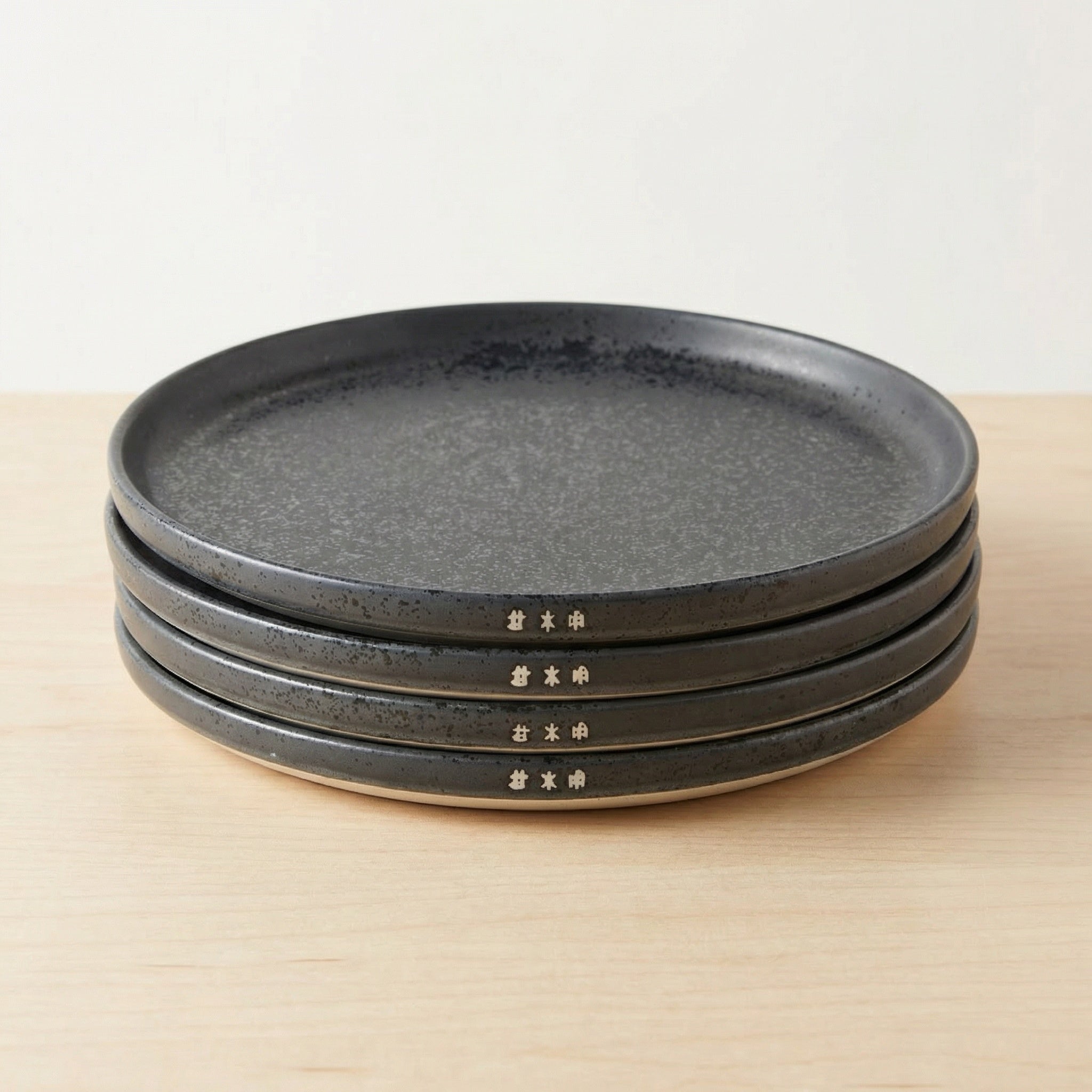 Set of 4 Large Ceramic Dining Plates