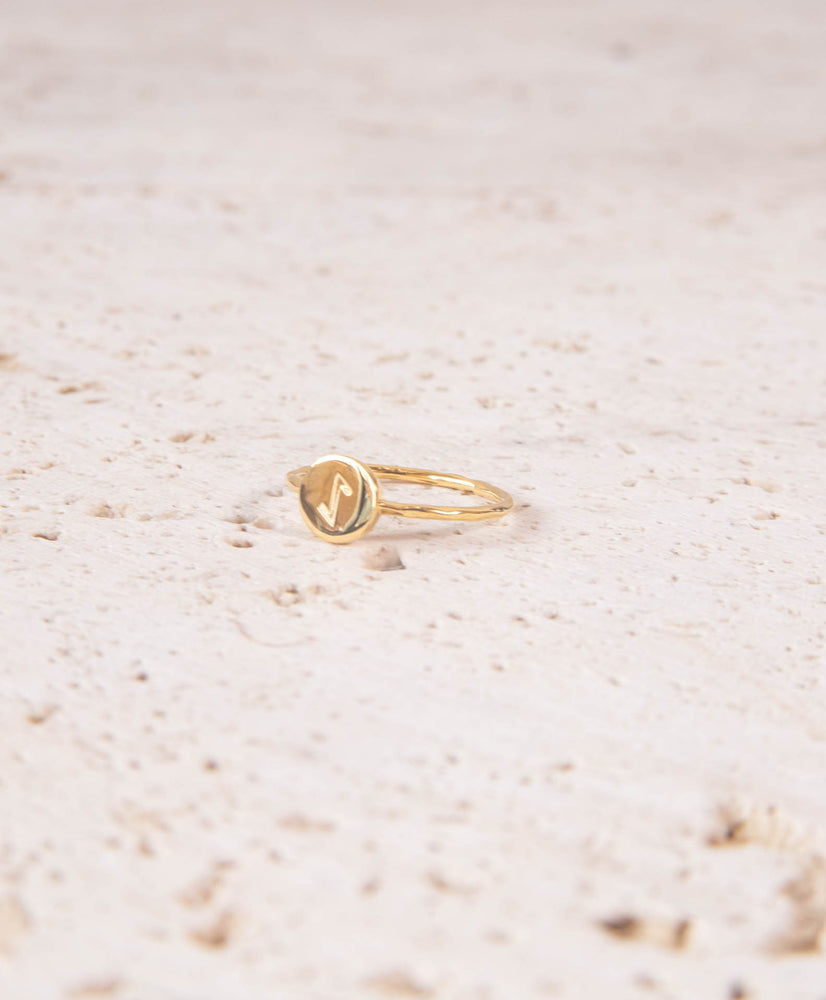 Minimalist 18k Gold Vermeil Rune Ring