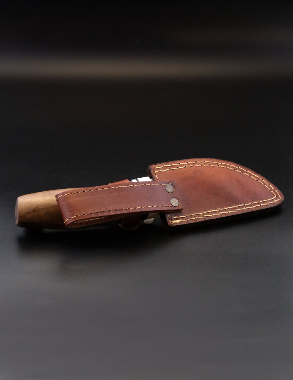 THE HANDLE OF COURAGE